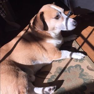 Meet your Posher, Kailey